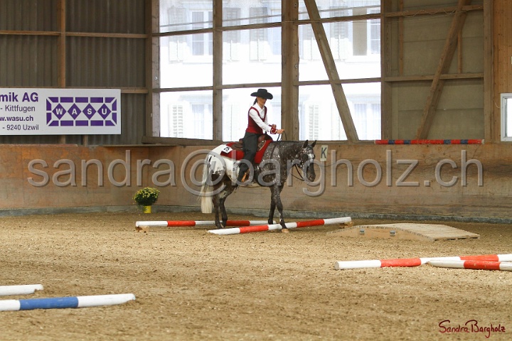26-ApHC GT_020.jpg